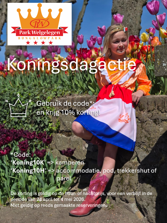 Koningsdagactie